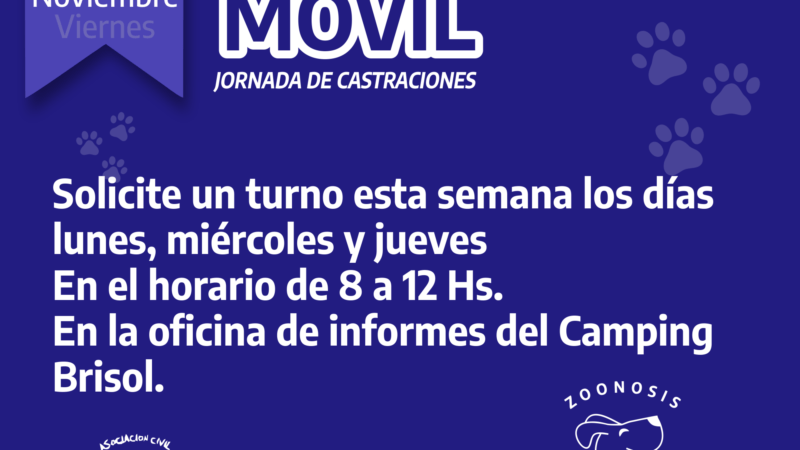 Jornada de castraciones de mascotas en Romang