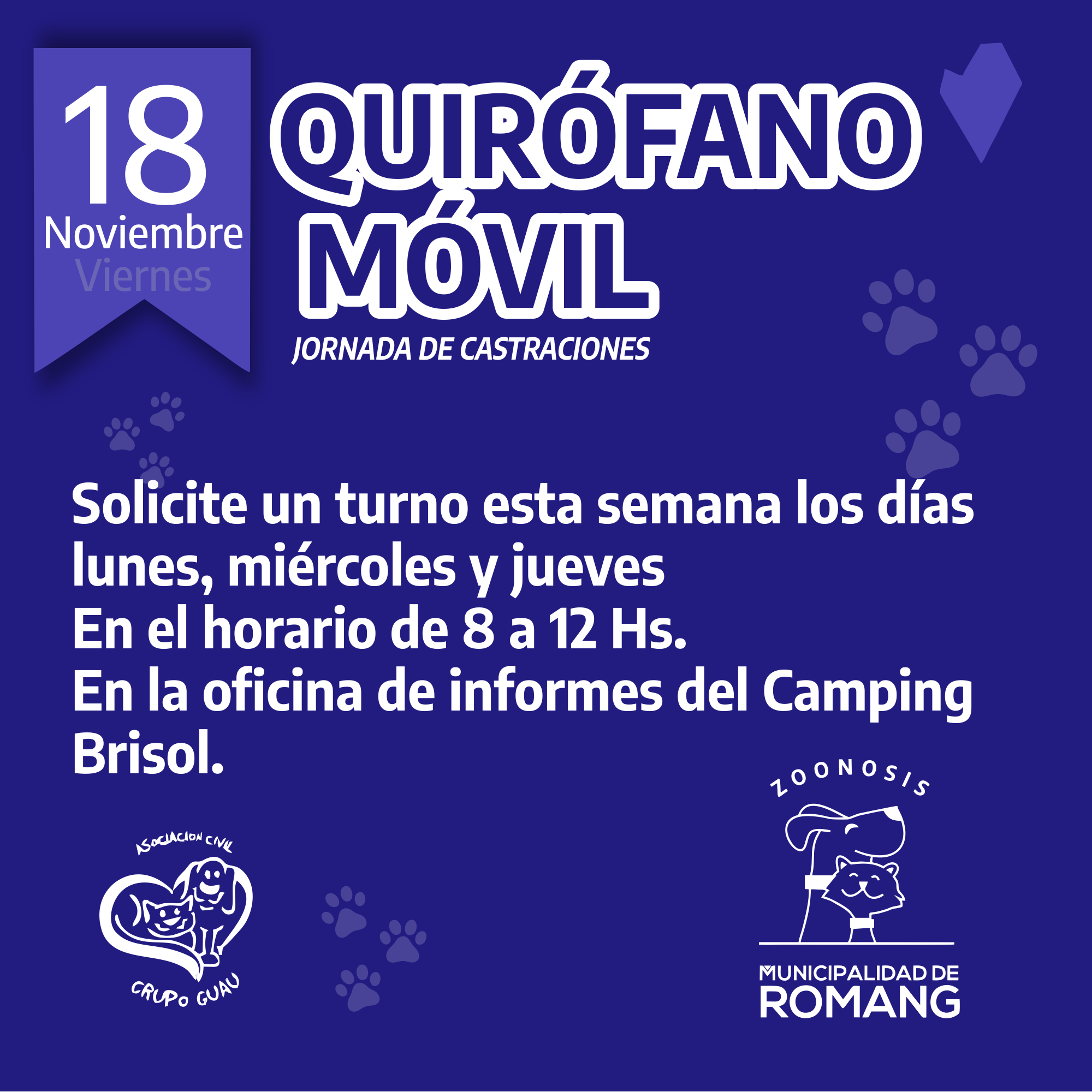 Jornada de castraciones de mascotas en Romang