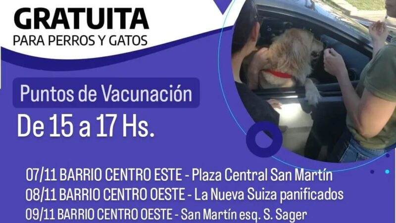 Vacunación antirrábica para perros y gatos