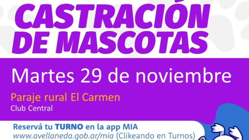 Castración de mascotas en Paraje El Carmen