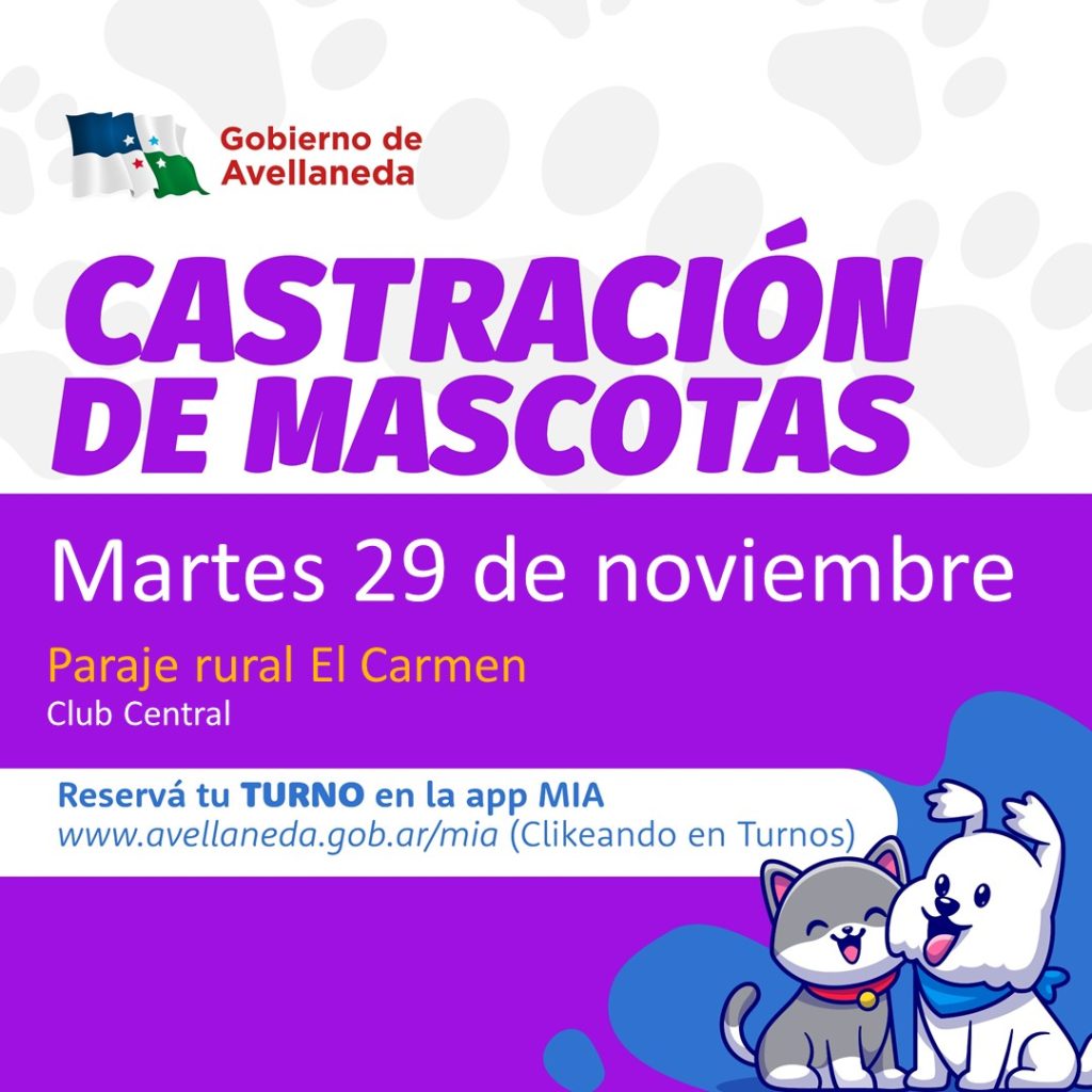 Castración de mascotas en Paraje El Carmen