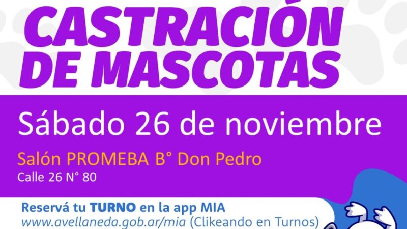 Castración de mascotas en Avellaneda: Turnos online