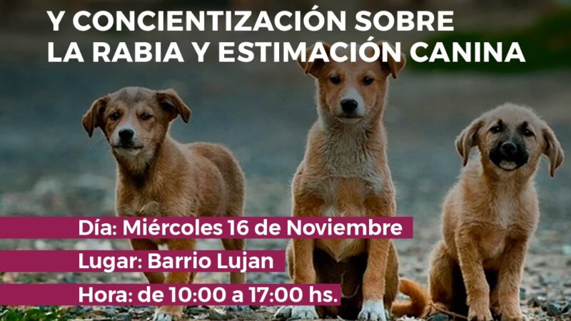 Jornada de vacunación antirrábica en barrio Luján