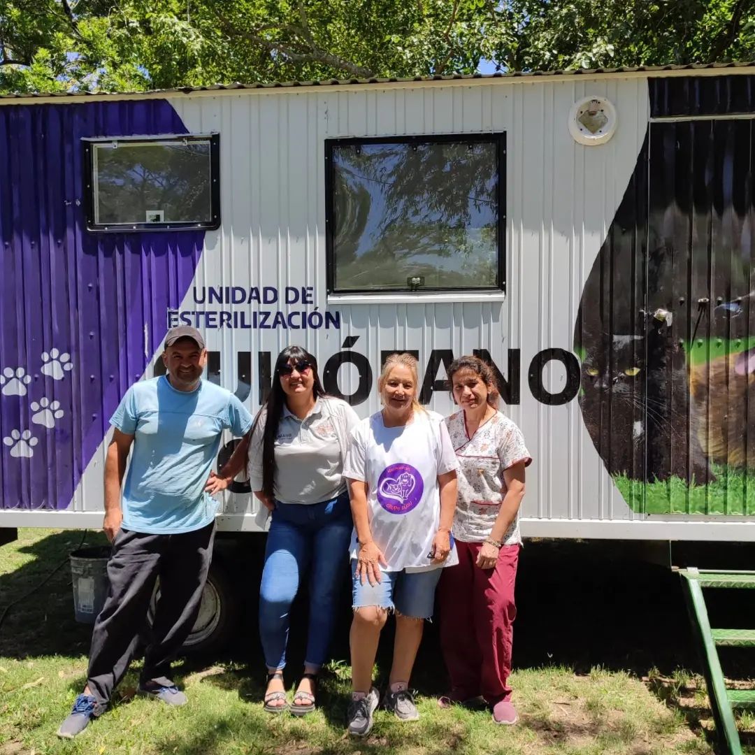 Romang | Jornada de castración gratuita de mascotas