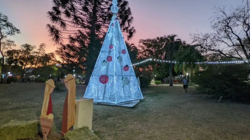 Romang encendió el tradicional árbol de navidad
