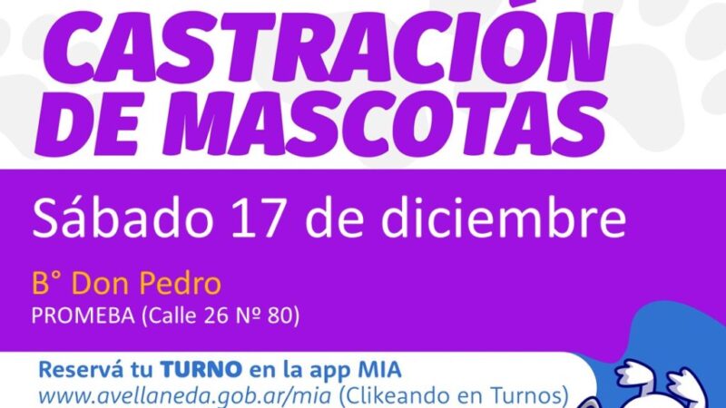 Mascotas en Avellaneda: Habrá castraciones en Barrio Don Pedro