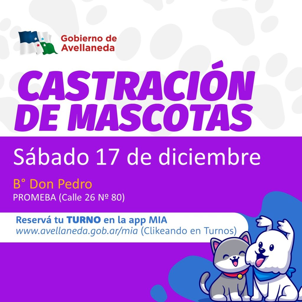 Mascotas en Avellaneda: Habrá castraciones en Barrio Don Pedro