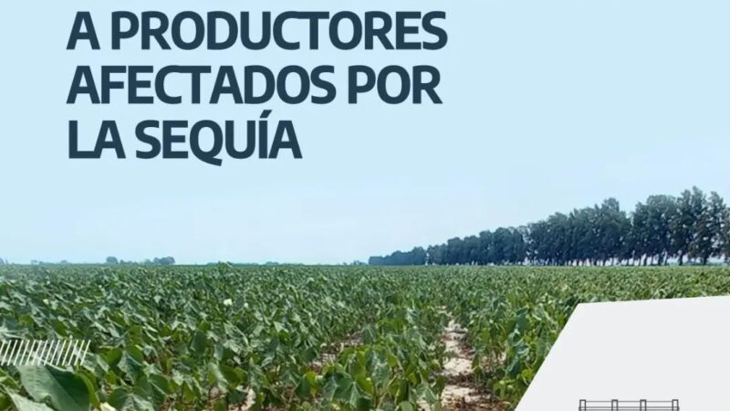 Sequía | Asistencia financiera para productores de Romang