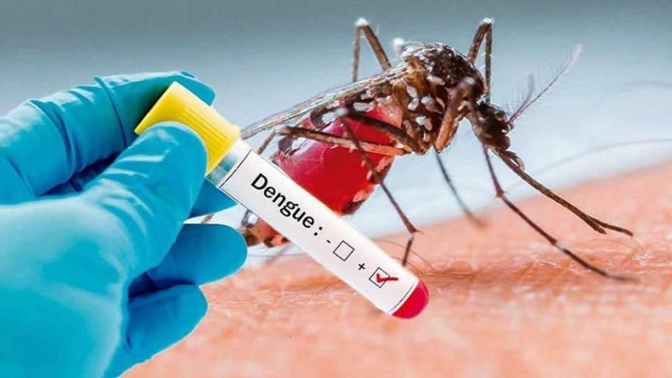 Confirman el primer caso de dengue en Reconquista ¿En qué barrio?