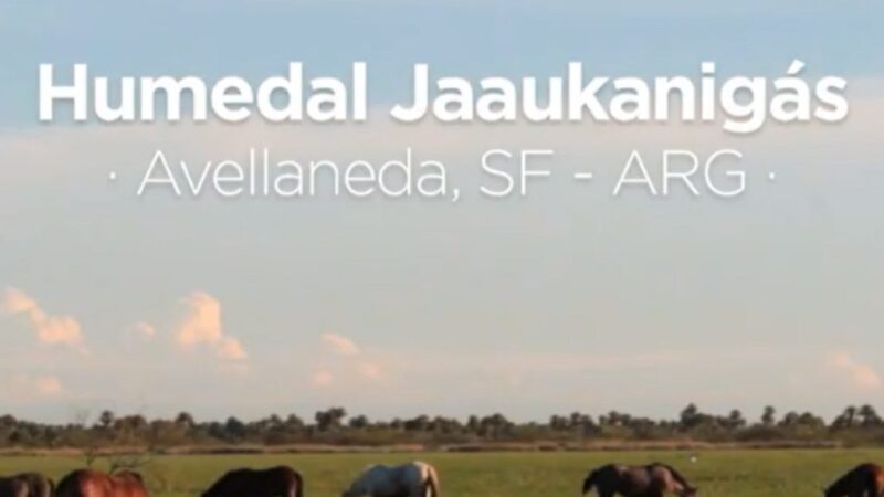 Avellaneda celebra el Día de los Humedales