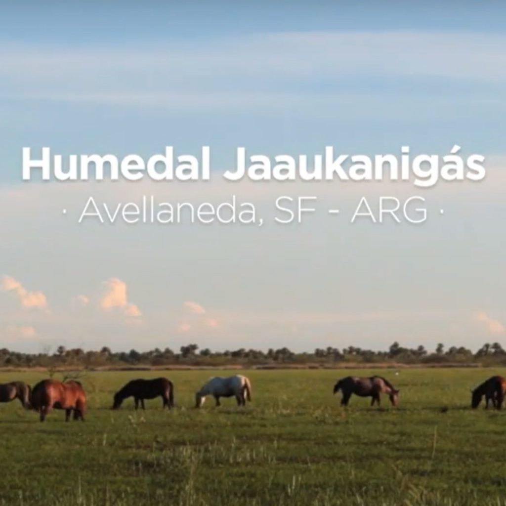 Avellaneda celebra el Día de los Humedales