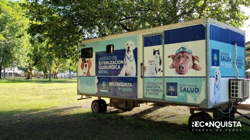 Mascotas | El quirófano móvil atiende en Barrio Nuevo