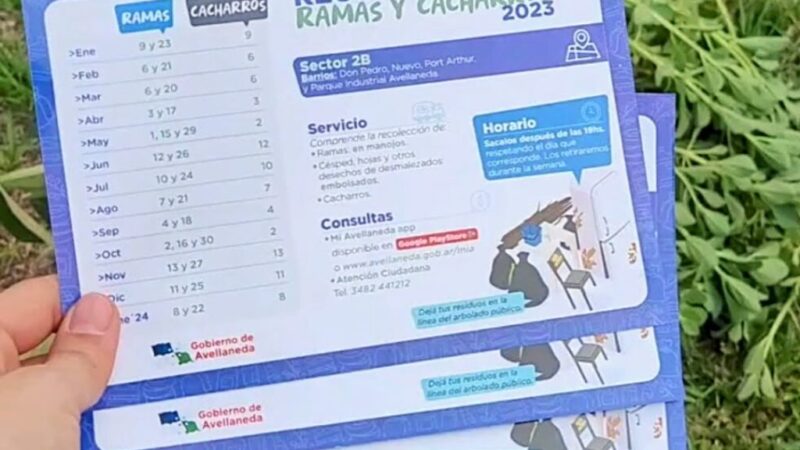 Avellaneda | ¿Cuándo tengo que sacar las ramas y cacharros?