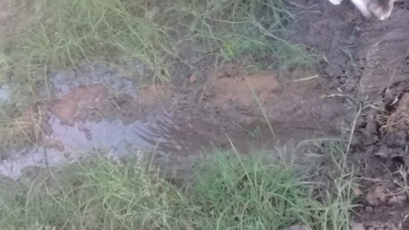 Reconquista | Reparan pérdida de agua en Ruta 11 y Brown