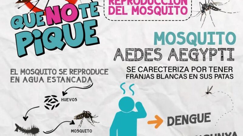 Malabrigo | Intensifican campaña para prevenir el dengue