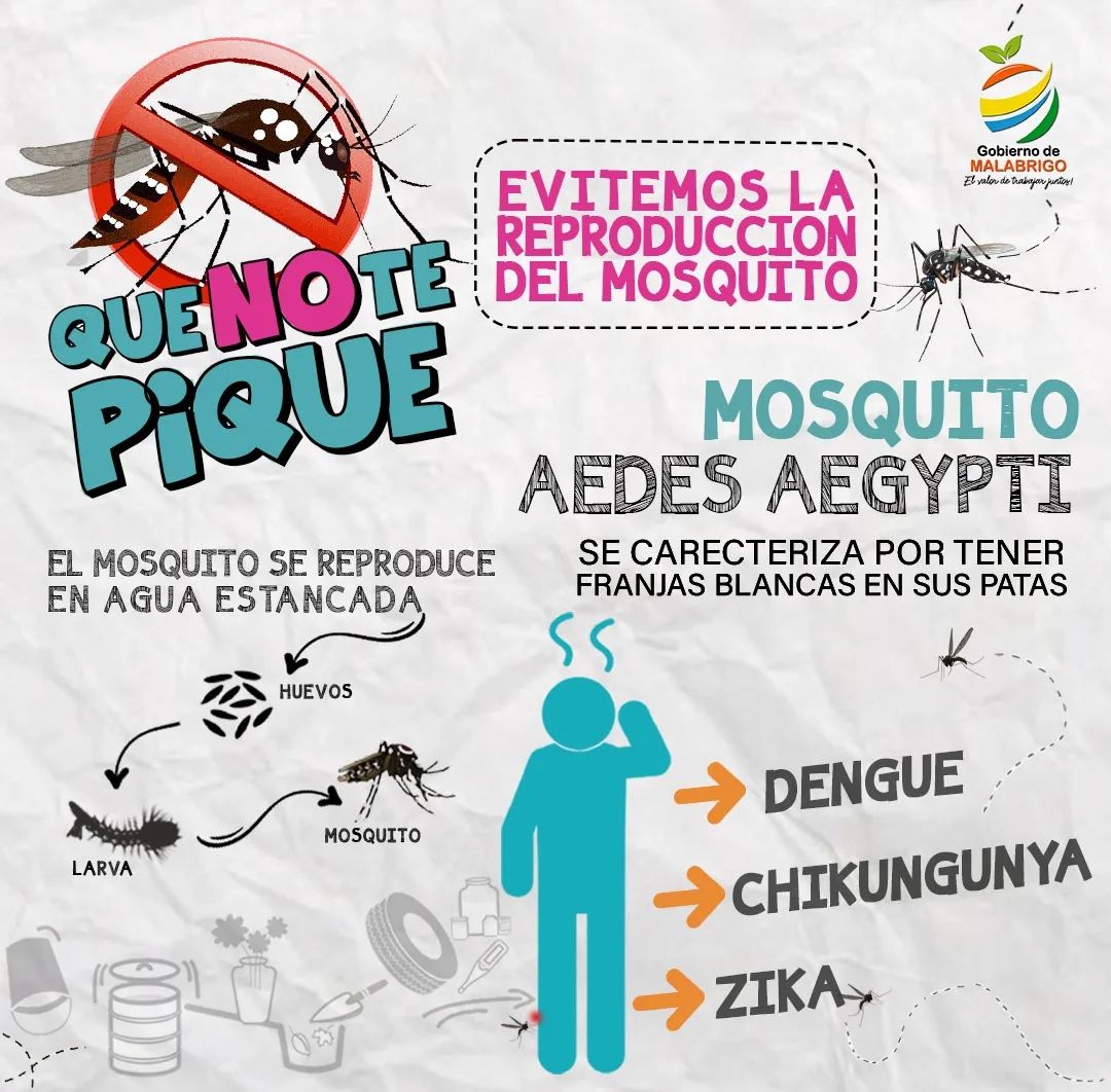Malabrigo | Intensifican campaña para prevenir el dengue
