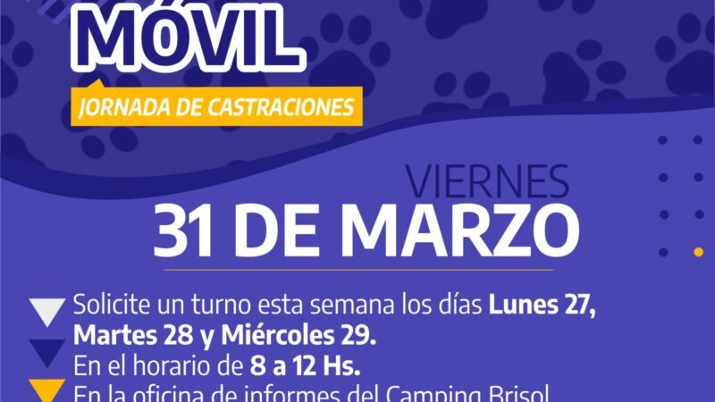Romang | Jornada de castraciones para mascotas