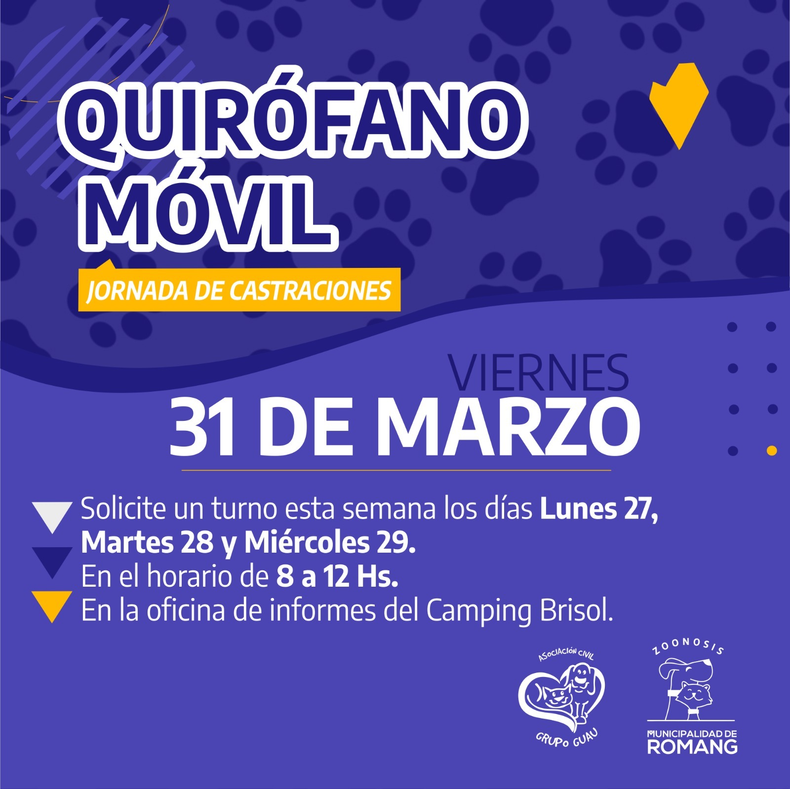 Romang | Jornada de castraciones para mascotas