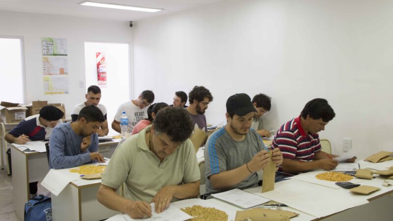 Comienza este lunes el Curso de Perito Clasificador de Cereales