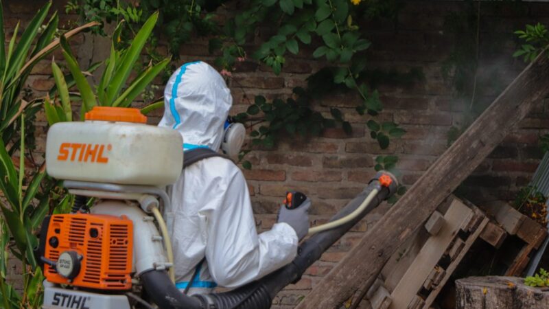 Reconquista | Continúa la fumigación contra el dengue
