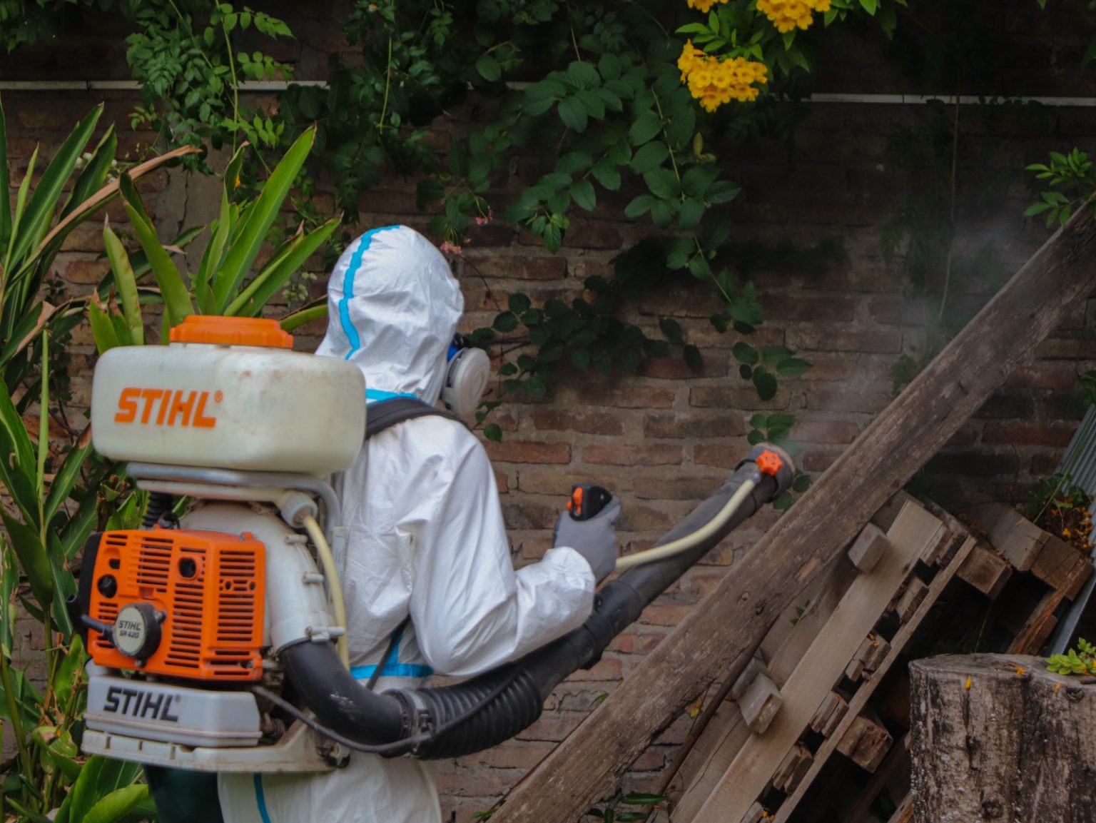 Reconquista | Continúa la fumigación contra el dengue