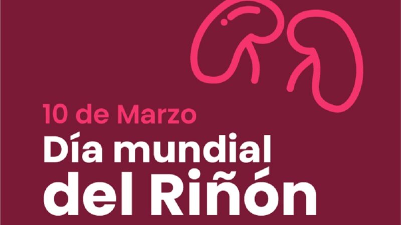 Santa Fe | La provincia celebra el Día Mundial del rinón
