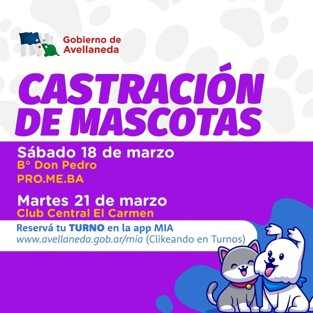 Avellaneda| Inscriben para castración gratuita de mascotas