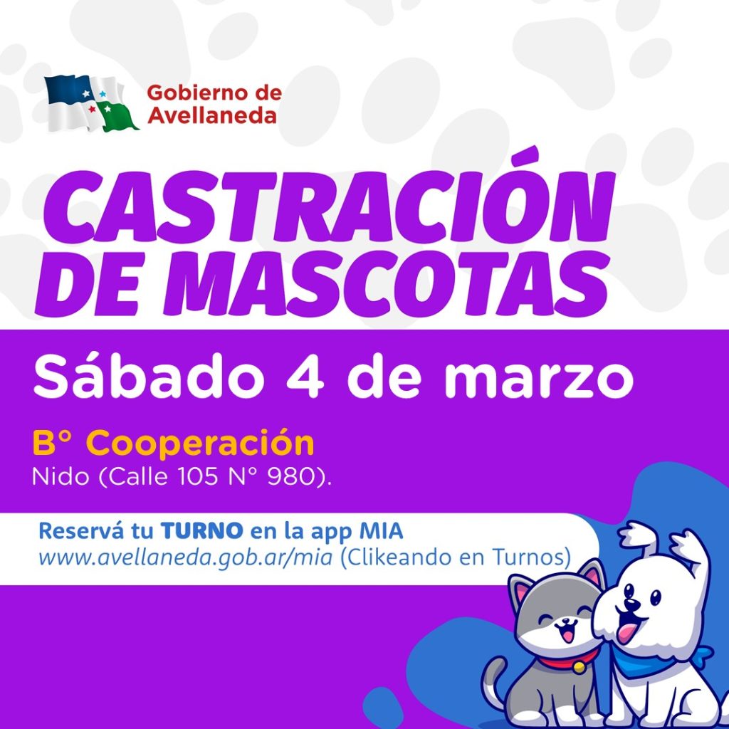 AGENDA| Calendario de castración de mascotas en Avellaneda