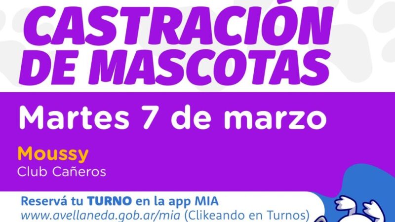 AGENDA| Castraciones de mascotas en Moussy