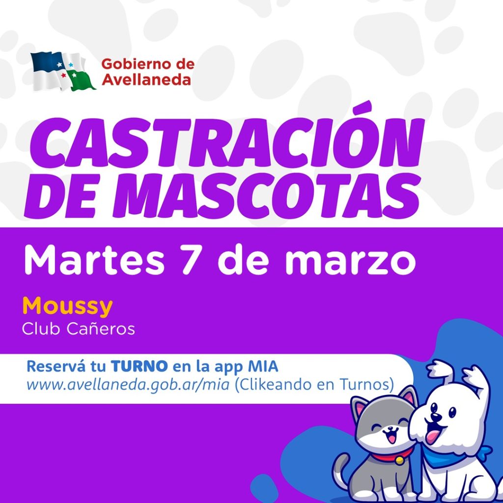AGENDA| Castraciones de mascotas en Moussy