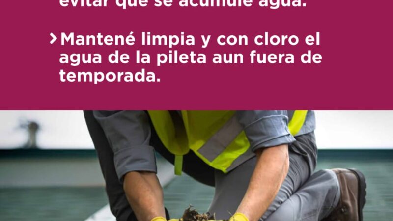 Reconquista| Eliminá criaderos de mosquitos para prevenir dengue