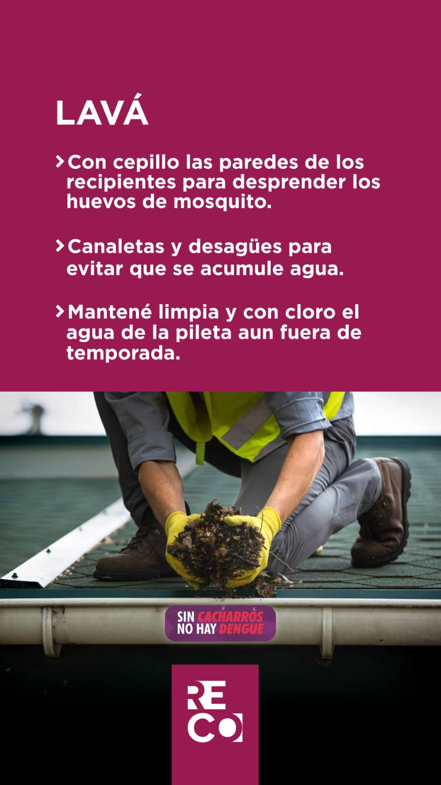 Reconquista| Eliminá criaderos de mosquitos para prevenir dengue