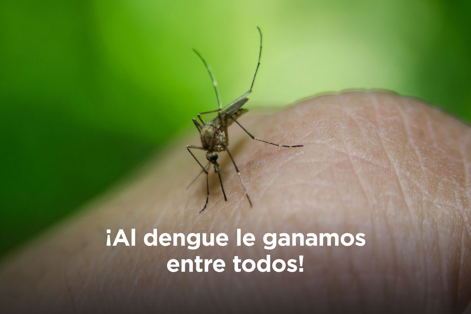 Reconquista| Fumigaciones y descacharrados en nuevos barrios