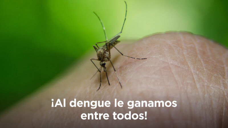 Reconquista | Continúan con la fumigación contra el dengue