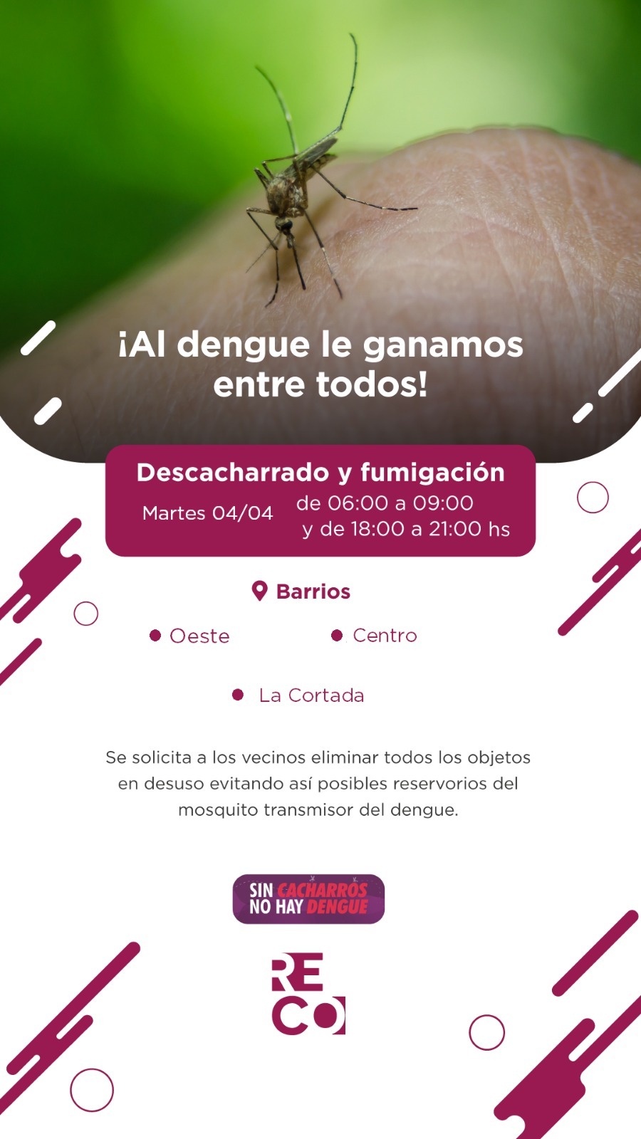 Reconquista| Realizan fumigación espacial para combatir dengue
