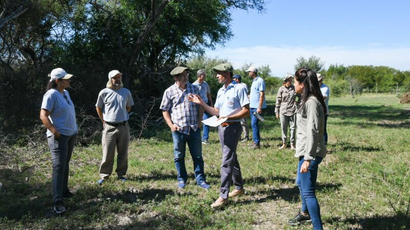 Santa Fe | La provincia protege los Bosques Nativos
