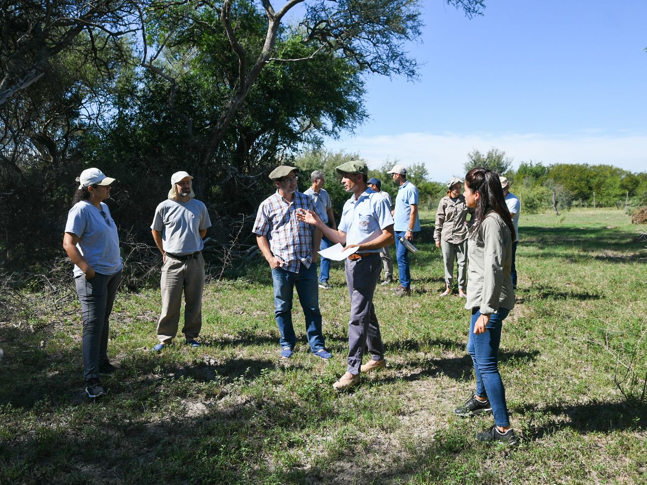 Santa Fe | La provincia protege los Bosques Nativos