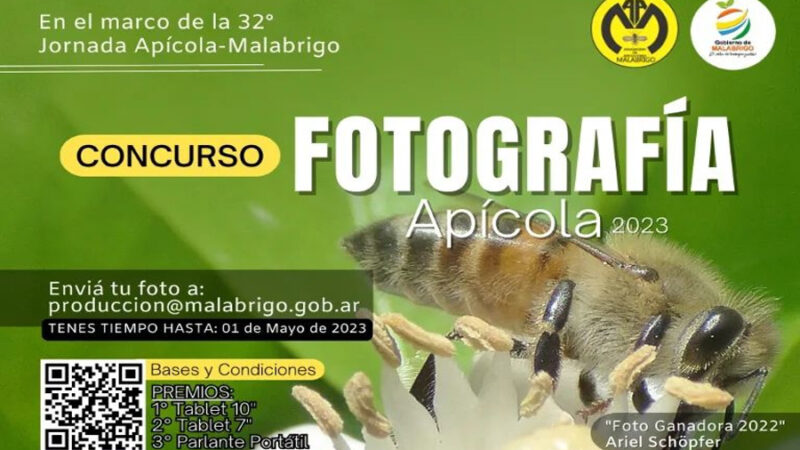Malabrigo| Concurso de fotografía apícola