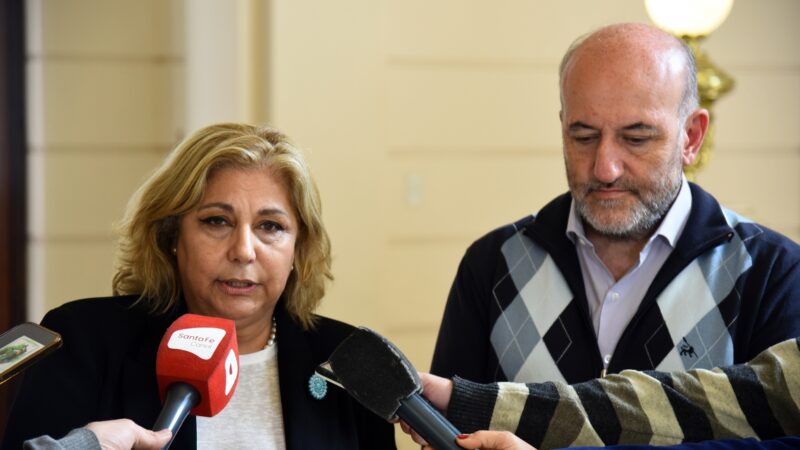 Santa Fe | La provincia actualizó los casos de dengue en Santa Fe