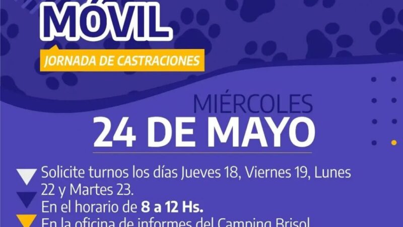 Jornada de castraciones en el camping Brisol de Romang