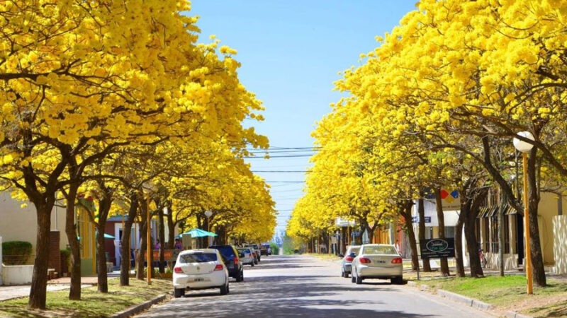 Romang| ¿Qué calles cambian de circulación el 23 de mayo?