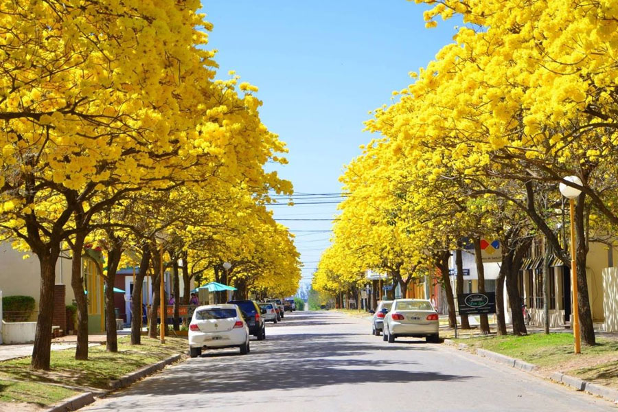 Romang| ¿Qué calles cambian de circulación el 23 de mayo?