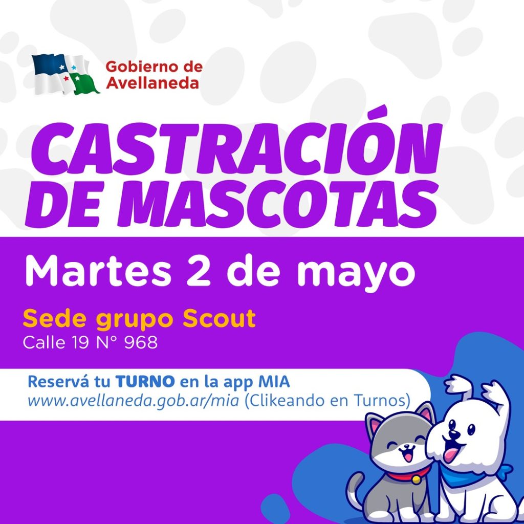 Avellaneda | Castrá a tus mascotas, sacá turno on line