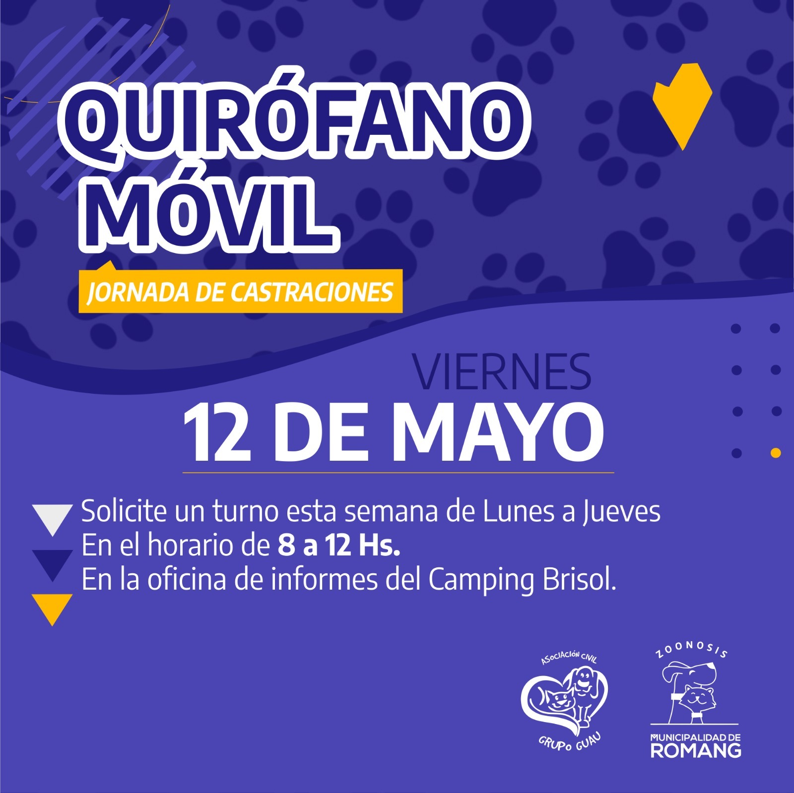 Romang | Nueva jornada de castración de mascotas