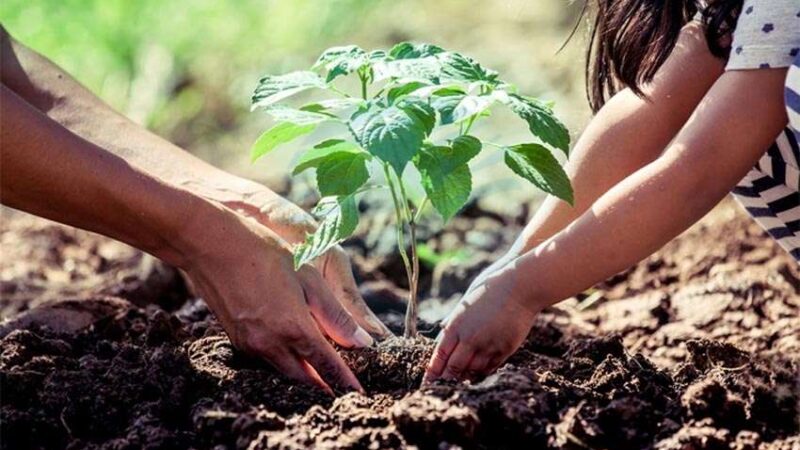 Encuentro con más de 500 jóvenes por el Día del Medio Ambiente