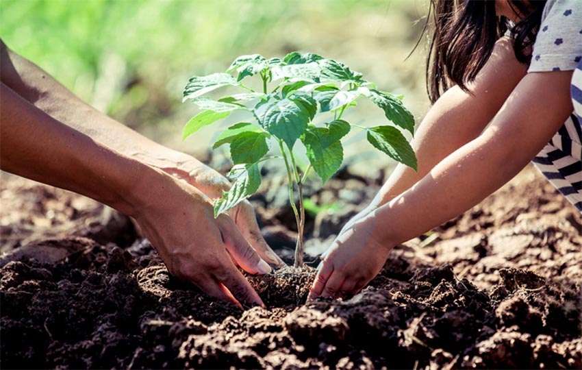 Encuentro con más de 500 jóvenes por el Día del Medio Ambiente