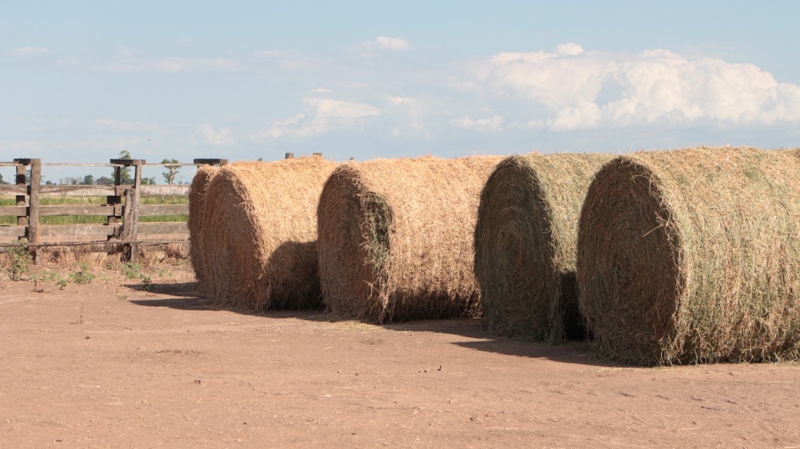 Créditos por $5.000 mil millones para sector agropecuario