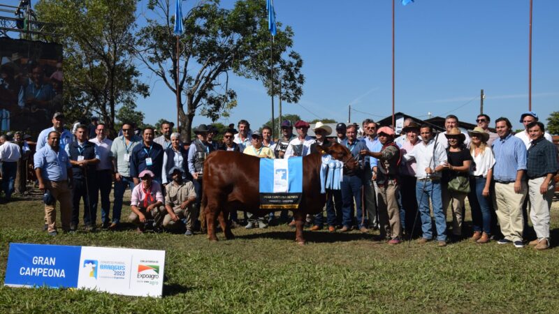 Programa de Actividades 2º Expo Brangus 2023