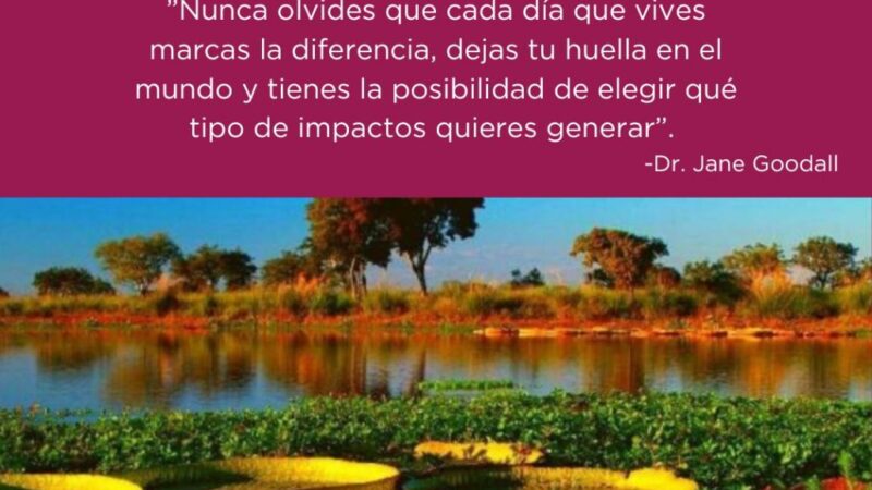 Reconquista celebra el Día Mundial del Medio Ambiente