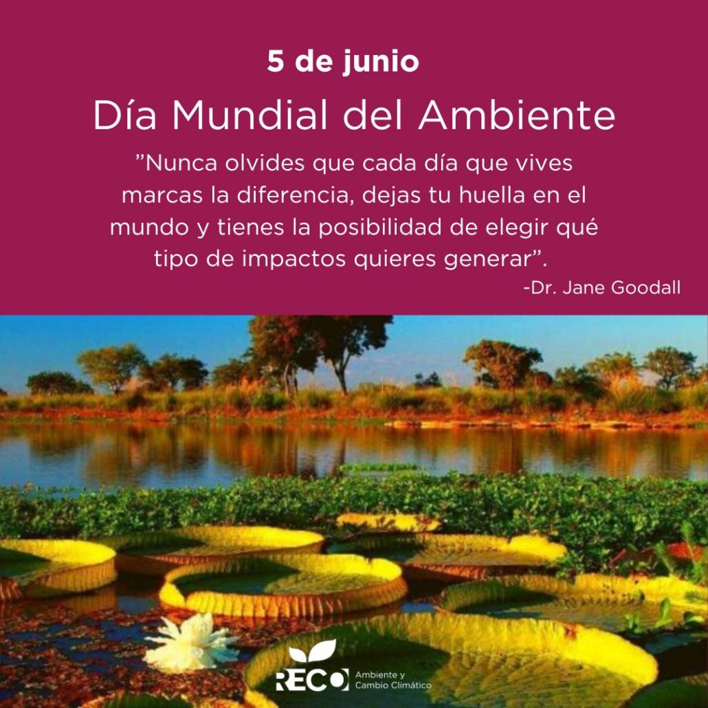 Reconquista celebra el Día Mundial del Medio Ambiente
